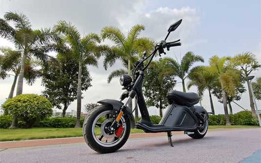 New Model Citycoco M2 Scooter